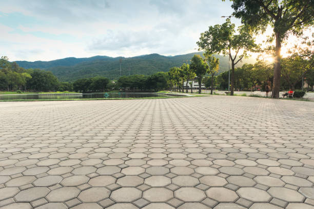 Best Best Driveway Pavers  in Benson, NC